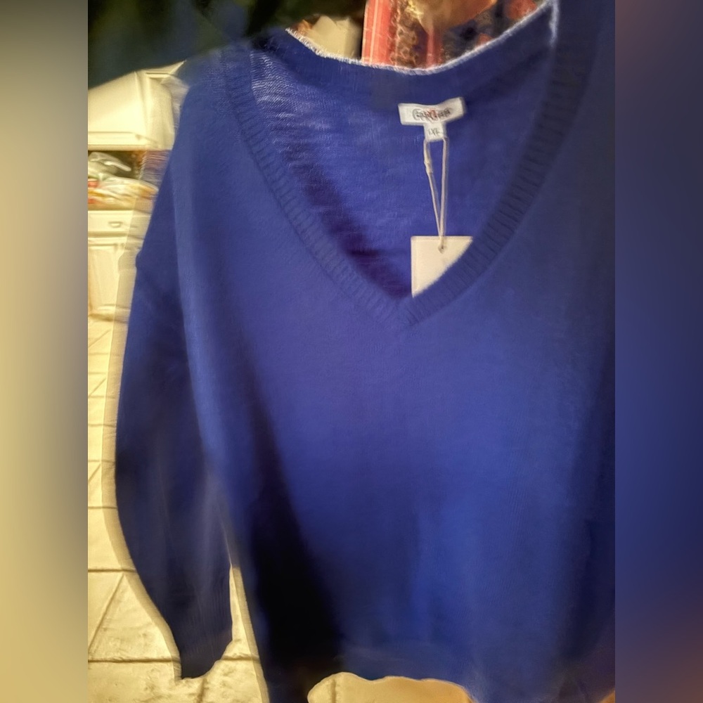 Goodfellow & Co Women's Classic Blue V-Neck Sweater